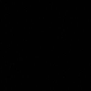 Meet your Posher, Baha